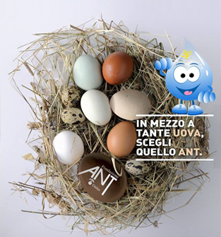 Buona Pasqua di solidarietà!