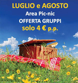 Offerta speciale per l'area picnic!