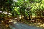 Ambiente