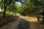 Ambiente